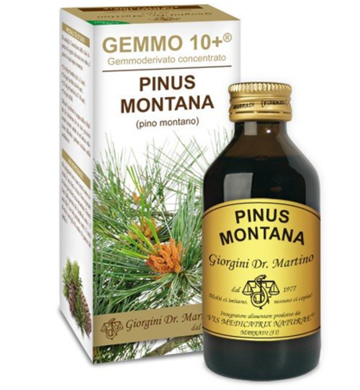 PINO MONT 100ML ANALCO GEM 10+ PINO MONT 100ML ANALCO GEM 10+