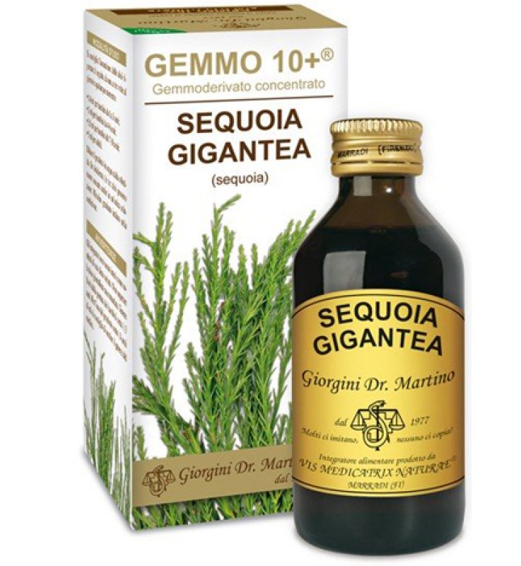 GEMMO 10+ SEQUOIA 100 ML LIQUIDO ANALCOLICO