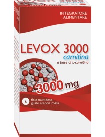 LEVOX 3000 CARNITINA 6FL
