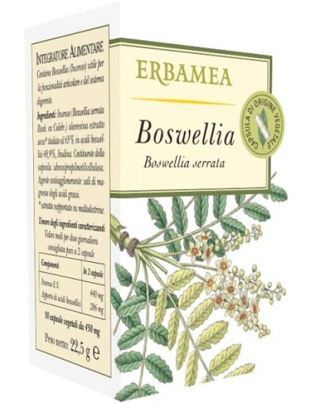 BOSWELLIA 50 Opr EBM