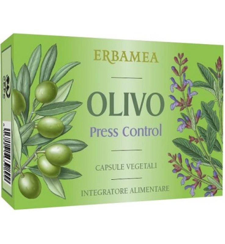 OLIVO Press Control 36 Cps EBM OLIVO Press Control 36 Cps EBM