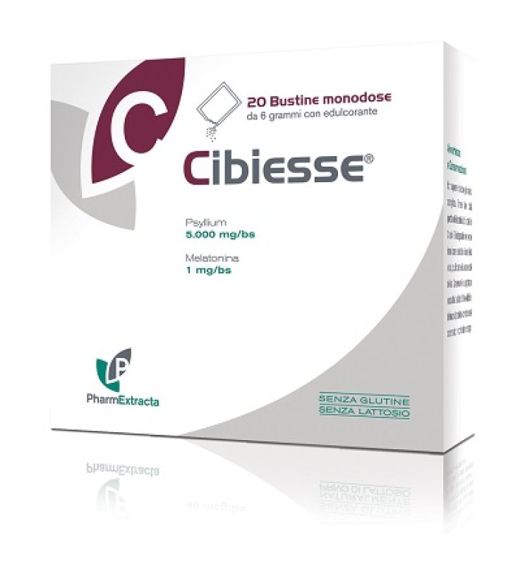 CIBIESSE 20BUST