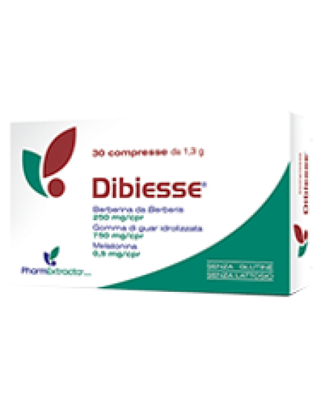 DIBIESSE 30CPR