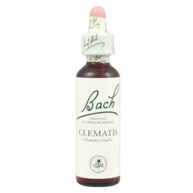 CLEMATIS BACH ORIGINAL 10 ML CLEMATIS BACH ORIGINAL 10 ML