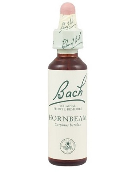 HORNBEAM BACH ORIGINAL 10 ML