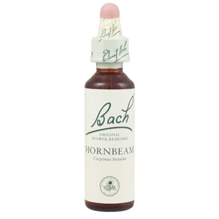 HORNBEAM BACH ORIGINAL 10 ML HORNBEAM BACH ORIGINAL 10 ML