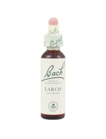 LARCH BACH ORIGINAL 10 ML