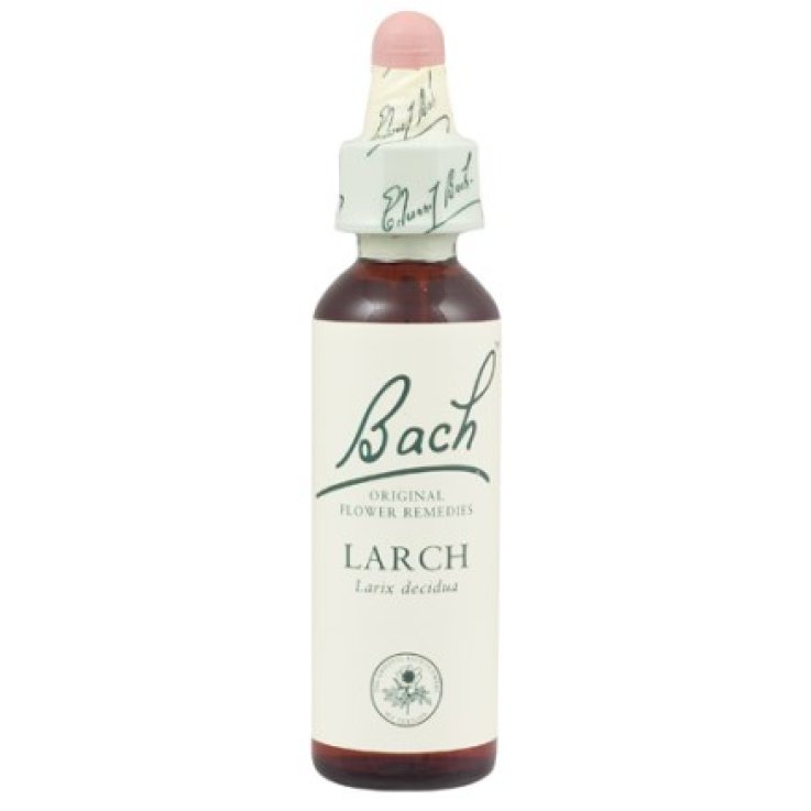 LARCH BACH ORIGINAL 10 ML LARCH BACH ORIGINAL 10 ML