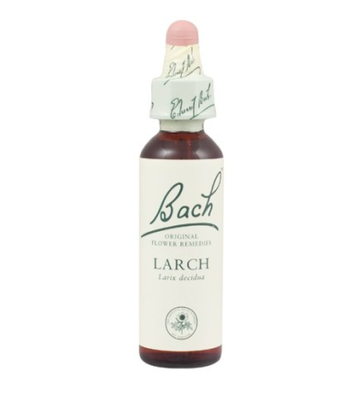 LARCH BACH ORIGINAL 10 ML