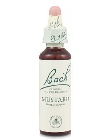 MUSTARD BACH ORIGINAL 10 ML