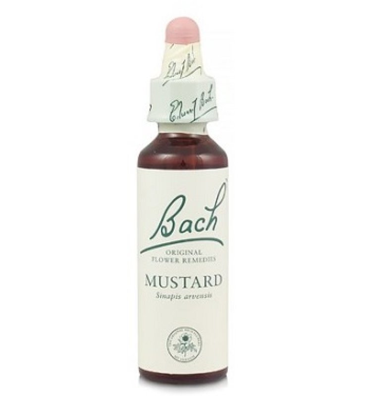 MUSTARD BACH ORIGINAL 10 ML MUSTARD BACH ORIGINAL 10 ML
