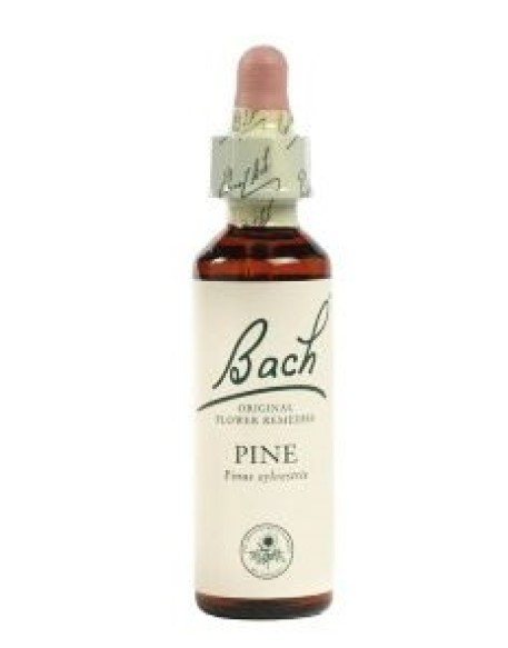 PINE BACH ORIGINAL 10 ML