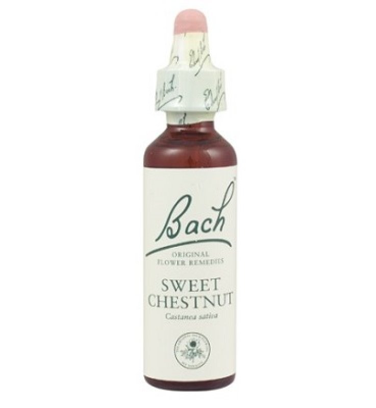 SWEET CHESTNUT BACH ORIGINAL 10 ML