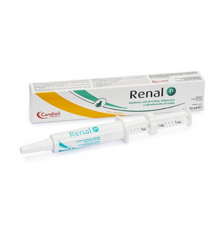 RENAL P Pasta 15ml RENAL P Pasta 15ml