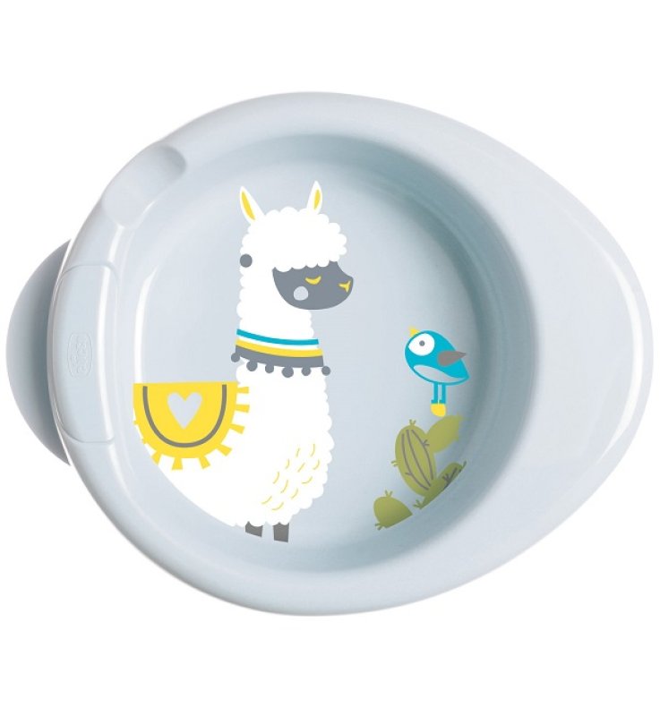 CHICCO PIATTO PAPPACALDA 6 MESI+ VERDE