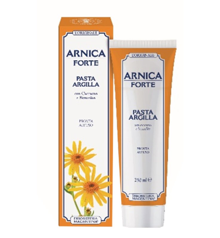 ARNICA FORTE PASTA ARGILLA 250 ML