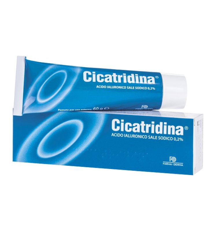 CICATRIDINA POMATA 60 G