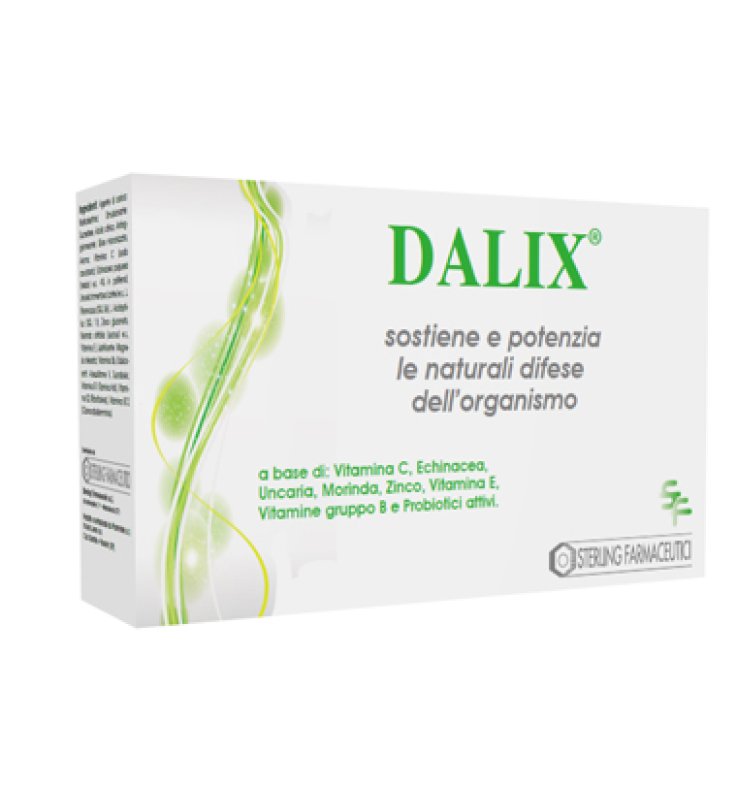 DALIX 20 Bust. DALIX 20 Bust.