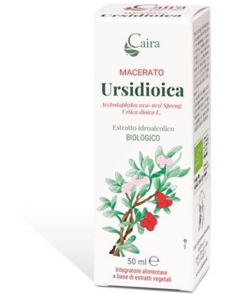 URSIDIOICA MACERATO CAIRA GTT