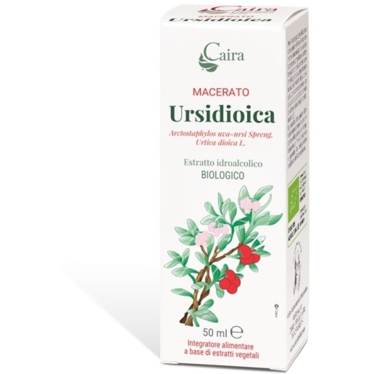 URSIDIOICA MACERATO CAIRA GTT URSIDIOICA MACERATO CAIRA GTT