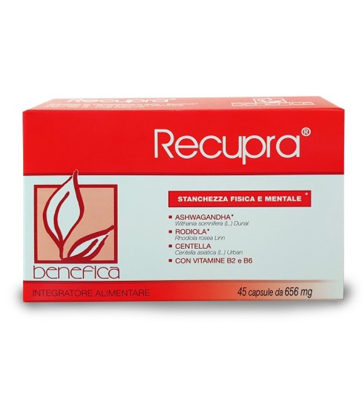 RECUPRA 36CPS VEG