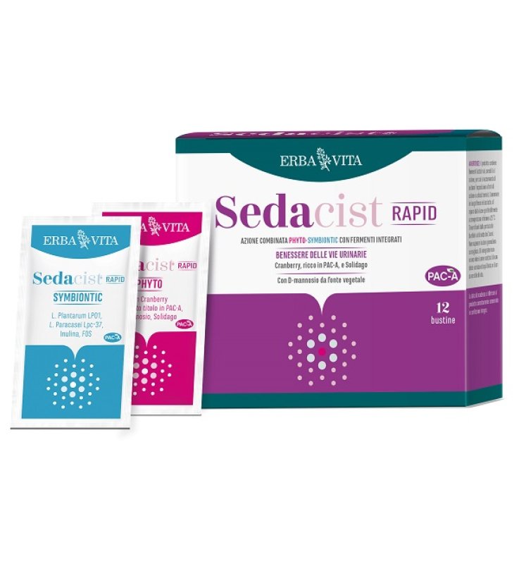 SEDACIST Rapid 6+6 Bust.   EBV