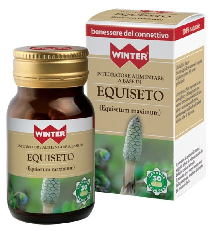 WINTER EQUISETO 30CPS VEG