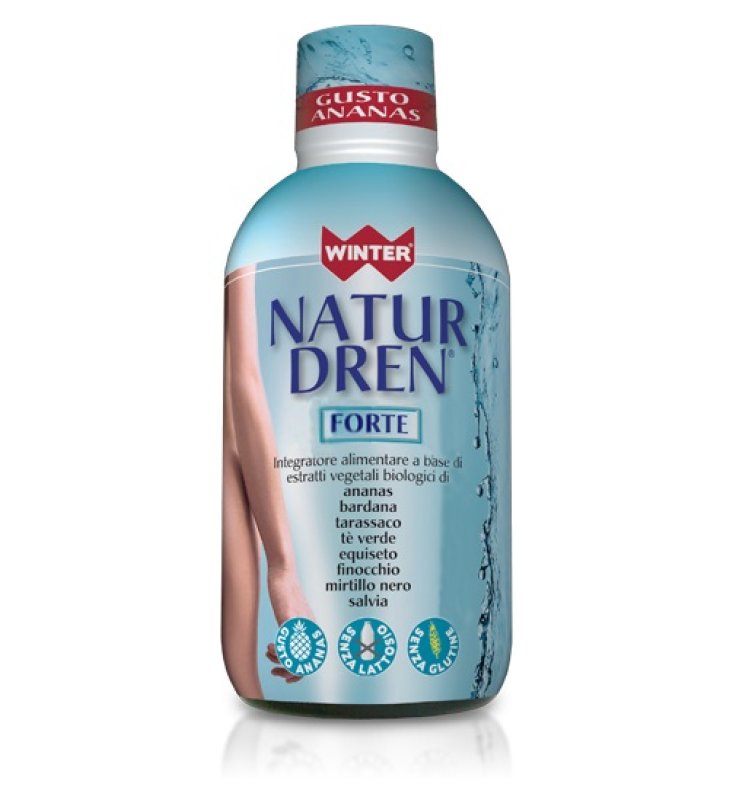 WINTER NATUR DREN 500 ML GUSTO ANANAS WINTER NATUR DREN 500 ML GUSTO ANANAS