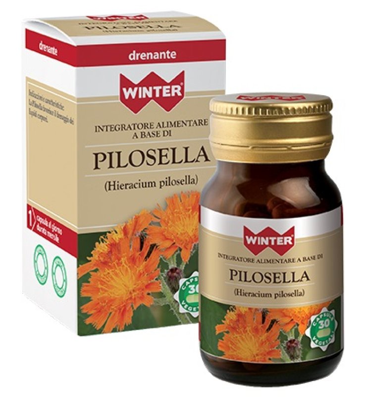 WINTER PILOSELLA 30CPS VEG