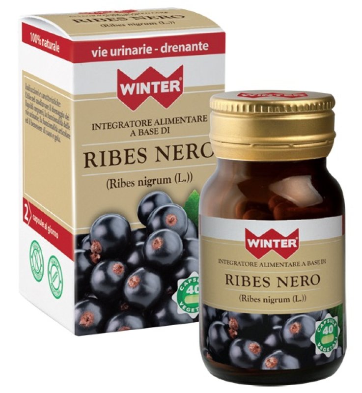 WINTER RIBES NERO 40CPS VEG WINTER RIBES NERO 40CPS VEG