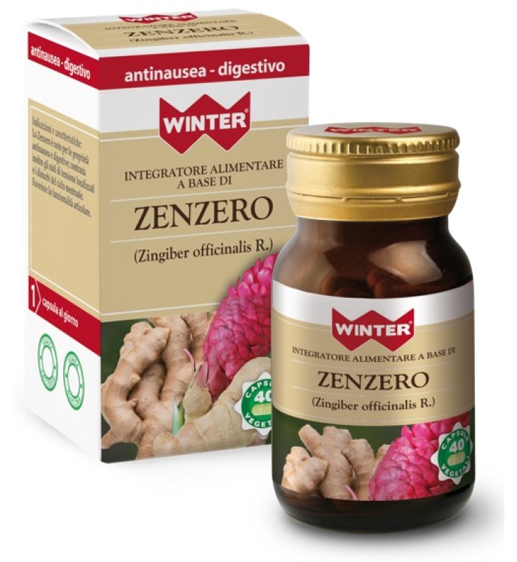 WINTER ZENZERO 40CPS VEG
