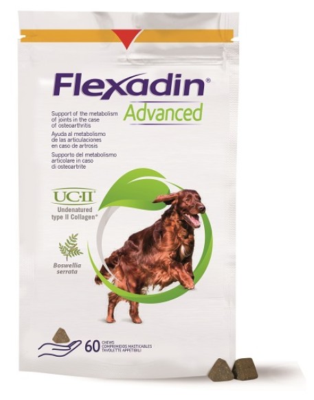 FLEXADIN Advanced Cani 60 Tav.