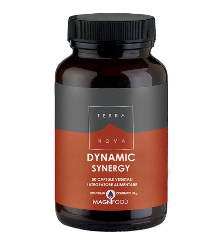 TERRANOVA DYNAMIC SYNERGY 50CPS TERRANOVA DYNAMIC SYNERGY 50CPS