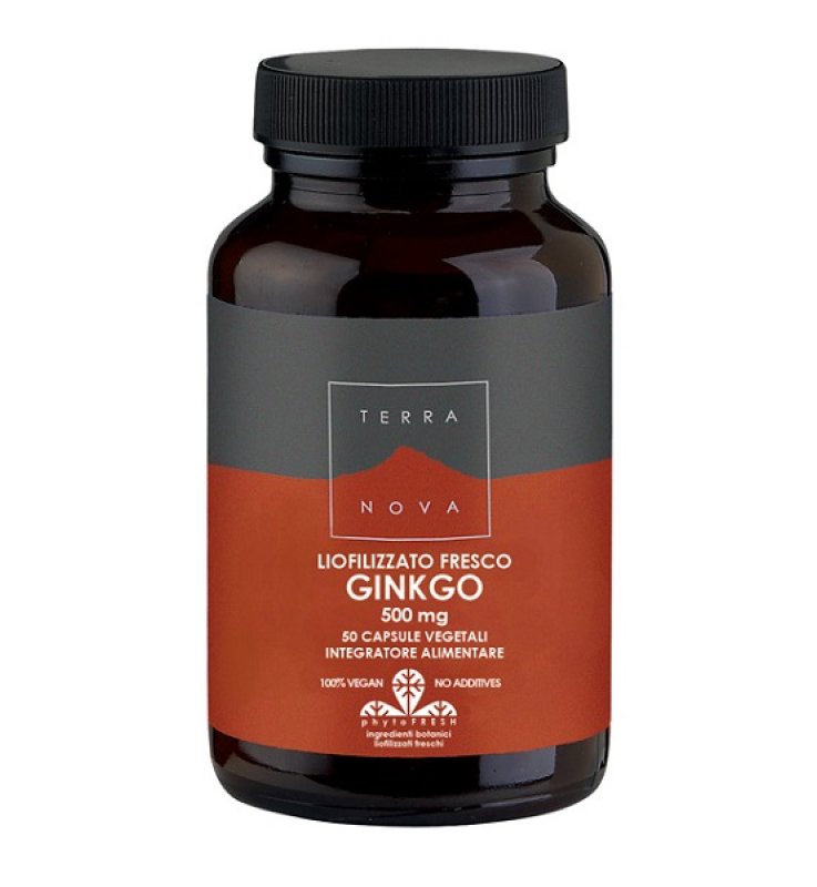 TERRANOVA FOGLIE GINKGO 50CPS TERRANOVA FOGLIE GINKGO 50CPS