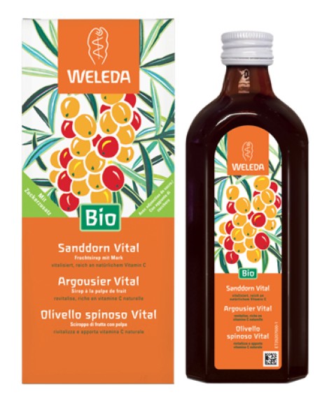 OLIVELLO SPINOSO VITAL SCIROPPO 250 ML