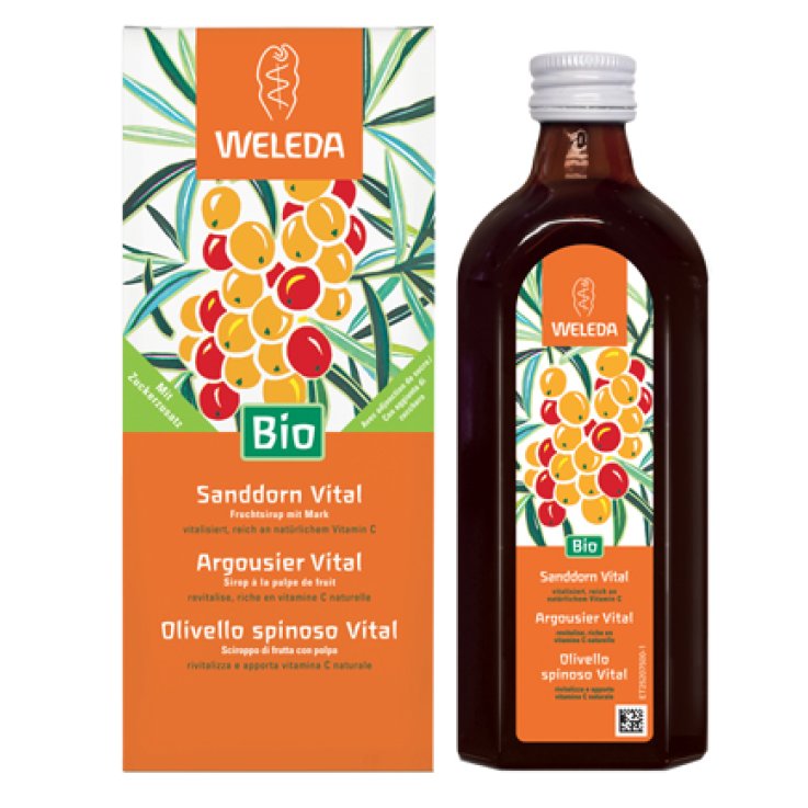 OLIVELLO SPINOSO VITAL SCIROPPO 250 ML OLIVELLO SPINOSO VITAL SCIROPPO 250 ML
