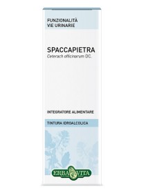 SPACCAPIETRA Tint.Ial.50ml EBV