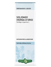 SOLIDAGO TINT IAL 50ML EBV