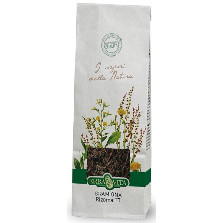 GRAMIGNA TT RIZOMA 100G EBV GRAMIGNA TT RIZOMA 100G EBV