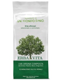 UVA URSINA COMPOSTA TISANA 100G