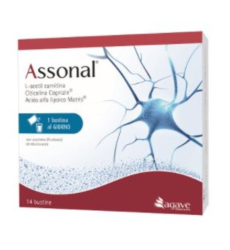 ASSONAL 14 BUSTINE