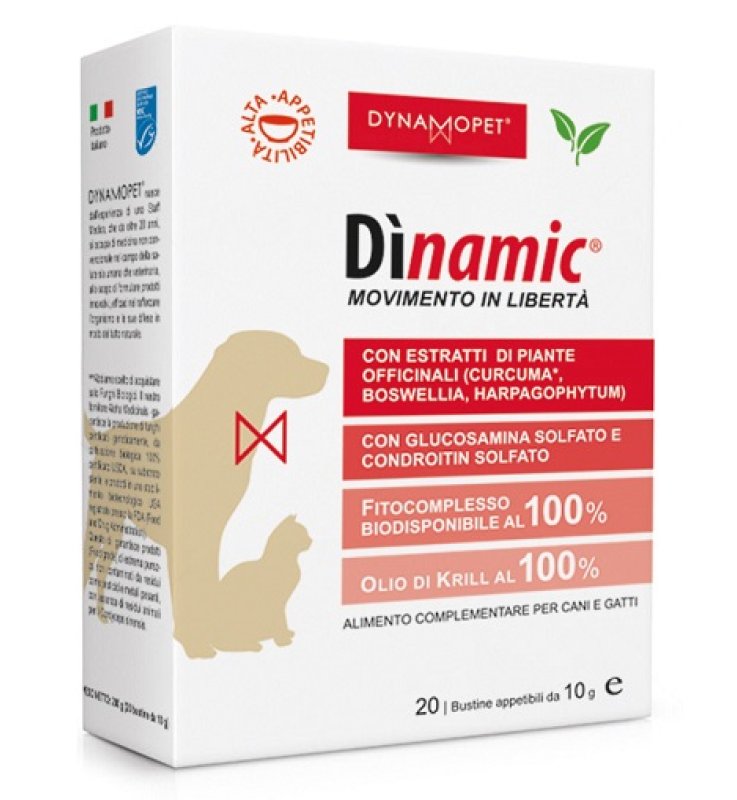 DINAMIC 20 BUSTINE 10 G DINAMIC 20 BUSTINE 10 G