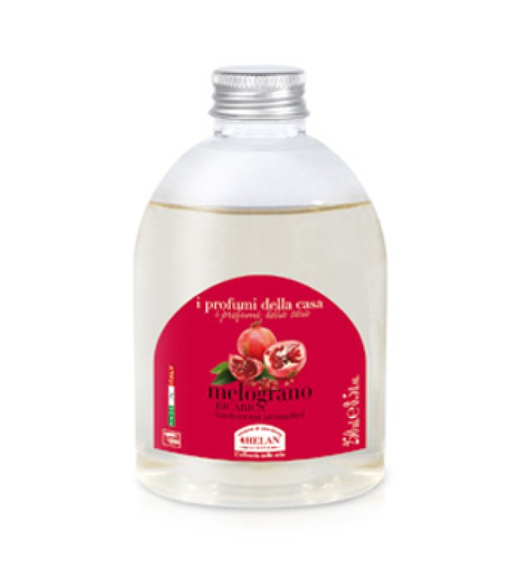 PROFUMI CASA BAST MELOGRANO -DIS