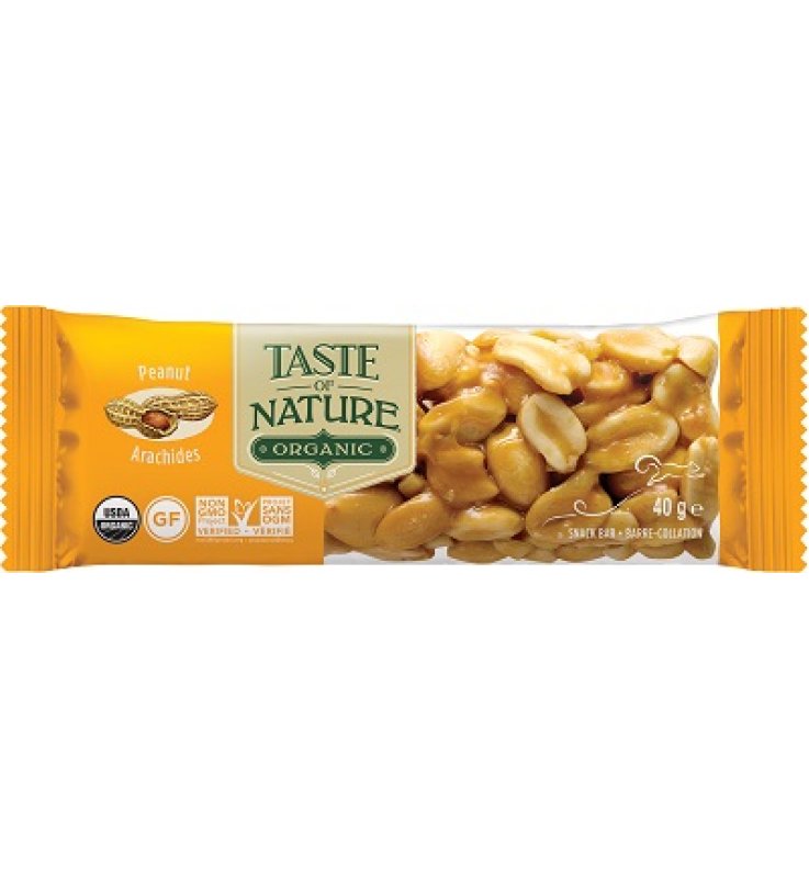 TASTE OF NATURE BARRETTA ALLE ARACHIDI BIO VEGAN AD ALTO CONTENUTO DI FIBRE 40 G