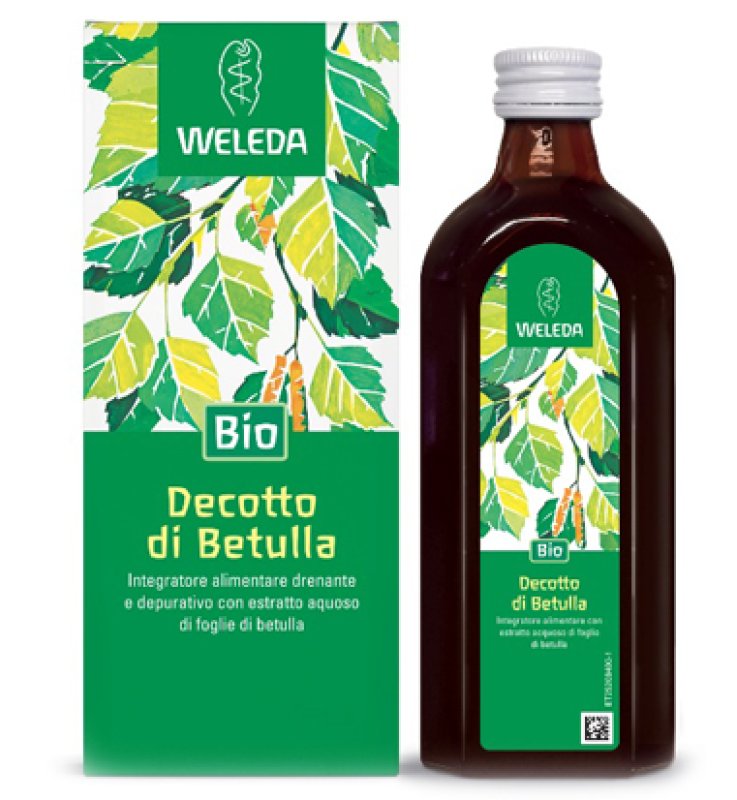 DECOTTO DI BETULLA 250 ML