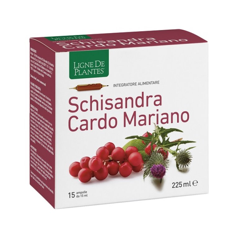 SCHISANDRA CARDO MARIANO 15AMP