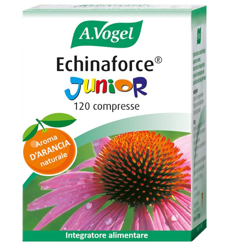 ECHINAFORCE JUNIOR 120 COMPRESSE