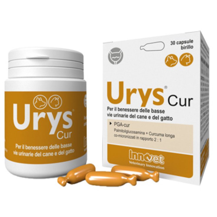 URYS CUR 30 CAPSULE BIRILLO URYS CUR 30 CAPSULE BIRILLO