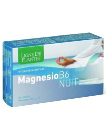 MAGNESIO B-6 NUIT 60CPS