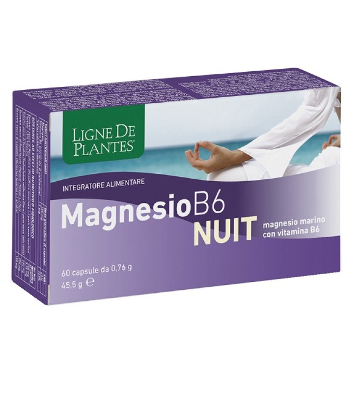 MAGNESIO B-6 NUIT 60CPS